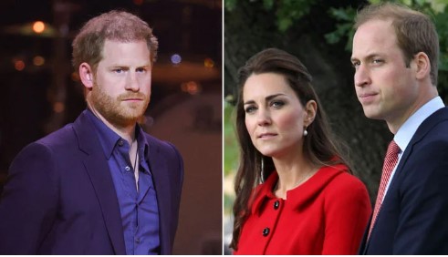 دوسری کتاب لکھنے کیلئے بھی کافی مواد موجود ہے،شہزادہ ہیری