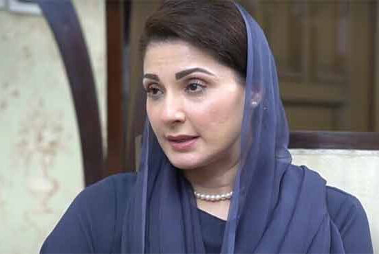 6 سال گدھے پر لکیریں ڈال کر اسے زیبرا بنانے کی کوششیں کی گئیں: مریم نواز