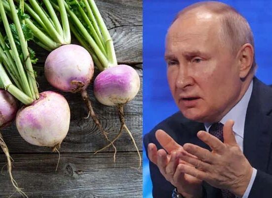 پیوٹن کا مغربی ممالک کو شلجم کھانے کیلئے روس آنے کا مشورہ
