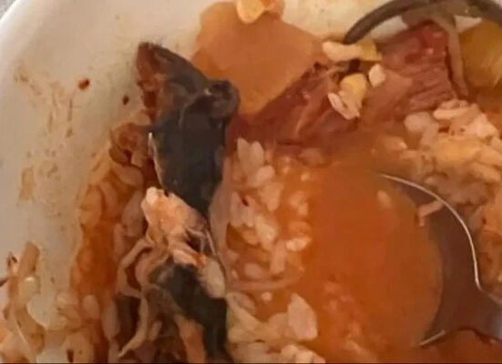 امریکی ریسٹورنٹ میں خاتون کے کھانے سے مرا ہوا چوہا نکل آیا