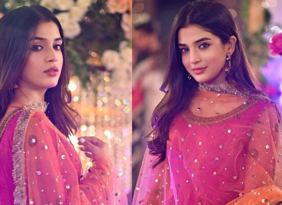 لائبہ خان کو کیسے ہمسفر کی تلاش ہے ؟