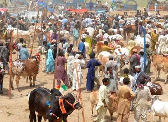 ملک بھر میں عیدالاضحیٰ کے تیسرے دن بھی قربانیوں اور دعوتوں کا سلسلہ جاری