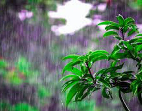 عید الاضحی کے موقع پر موسم کیسا رہے گا؟ الرٹ جاری کردیاگیا