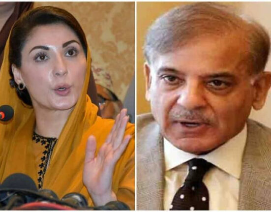 شہباز شریف ن لیگ کے بلامقابلہ صدر، مریم نواز سینئر نائب صدر منتخب