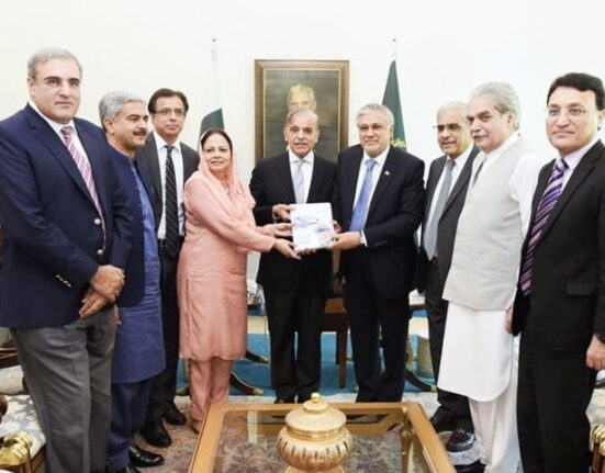 ملکی قرض 592 کھرب، پاکستانیوں کی فی کس آمدنی میں 11.2 فیصد کمی، اقتصادی سروے