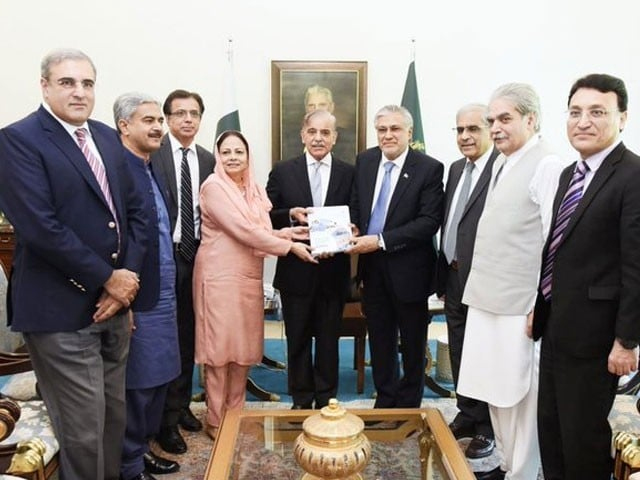 ملکی قرض 592 کھرب، پاکستانیوں کی فی کس آمدنی میں 11.2 فیصد کمی، اقتصادی سروے