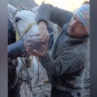 2006کے بعد پیدا ہونے والے افراد پر سگریٹ پینے پر پابندی عائد