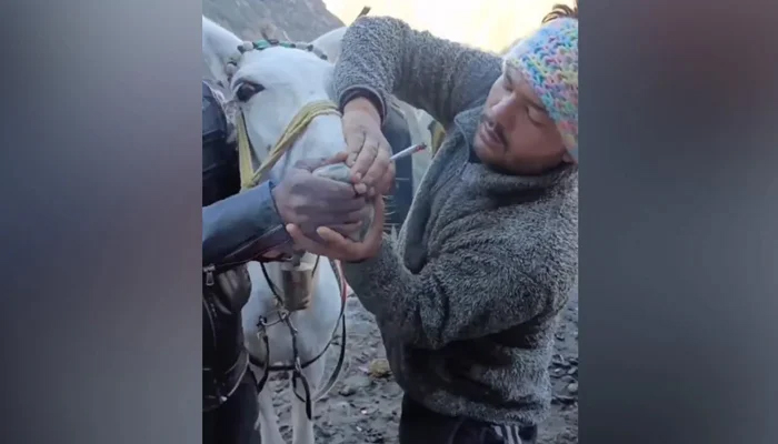 گھوڑے کو زبردستی سگریٹ پلانیوالے کیخلاف مقدمہ درج