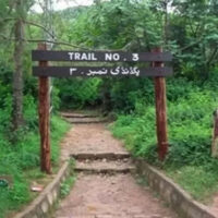 مارگلہ کی پہاڑیوں کے سرسبز و شاداب ماحول کو بڑھانے کے لیے شجر کاری مہم