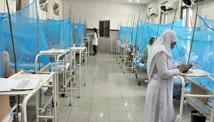 راولپنڈی ، ڈینگی کے تصدیق شدہ مریضوں کی تعداد میں اضافہ ہونے لگا