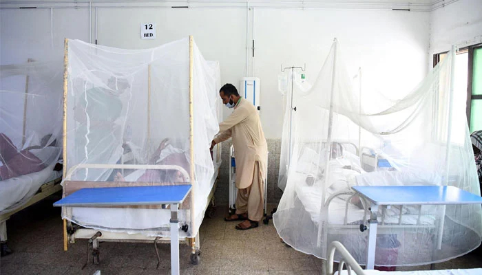 پنجاب ڈینگی میں مسلسل اضافہ ، 24 گھنٹوں کے دوران 45 کیسز رپورٹ