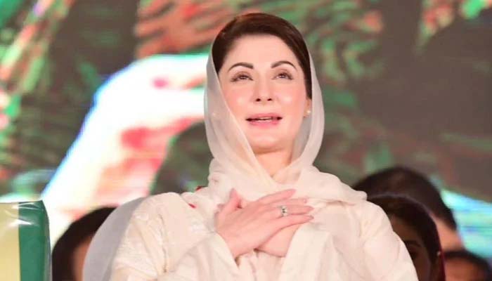 مریم نواز کے اثاثوں کی تفصیلات سامنے آگئی ،دستاویزات میں اثاثوں کی مالیت 84 کروڑ 25 لاکھ 84 ہزار روپے ظاہر کی