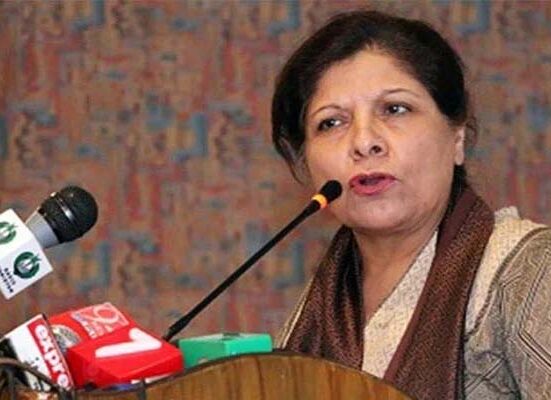 ملک کی آمدنی ڈیجیٹلائز کرنا سرمایہ کاری کیلئے بہتر ہو گا ، شمشاد اختر