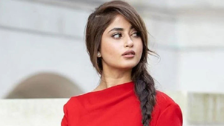 خوف آتا ہے کہ مردوں کیلئے عورتوں کو ہراساں کرنا کتنا آسان ہے ، سجل علی