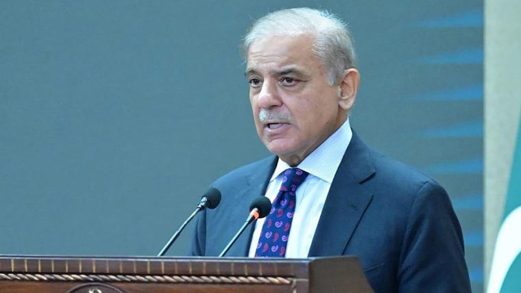 اسرائیل کو اس کے جرائم پر جوابدہ بنانا پڑے گا ، شہباز شریف