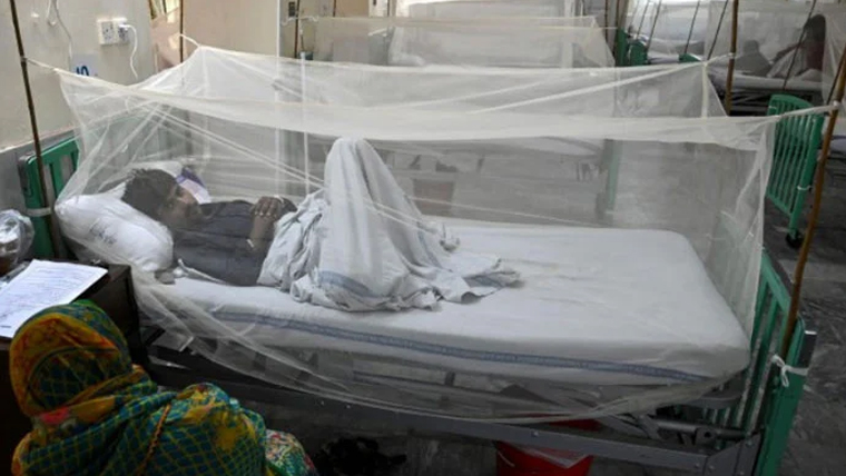 پنجاب ، ایک اور ڈینگی مریض زندگی کی بازی ہار گیا