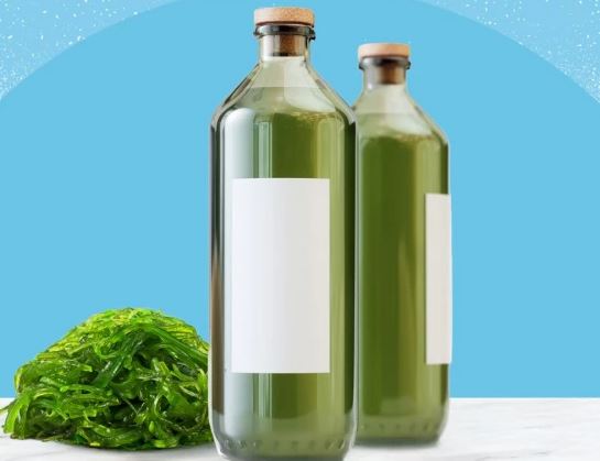 کوکنگ آئل، کیا زیتوں سے بھی زیادہ مفید