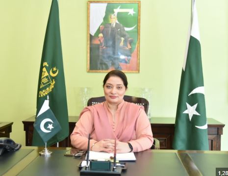 شہریوں کومعاشی اورماحولیاتی طور پر ذمہ دار بنانے کی ضرورت، رومینہ خورشید