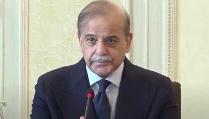 دبئی نے 2 ارب ڈالر رول اوور کر دیئے، وزیراعظم