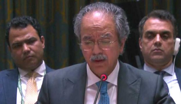 سلامتی کونسل اجلاس: پاکستان کا غزہ میں مستقل اورغیر مشروط جنگ بندی کا مطالبہ