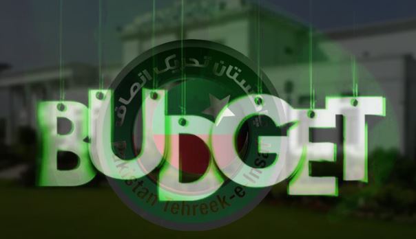 خیبرپختونخوا: پارٹی میں اختلافات شدت اختیار کر گئے، بجٹ کے بائیکاٹ کا خدشہ