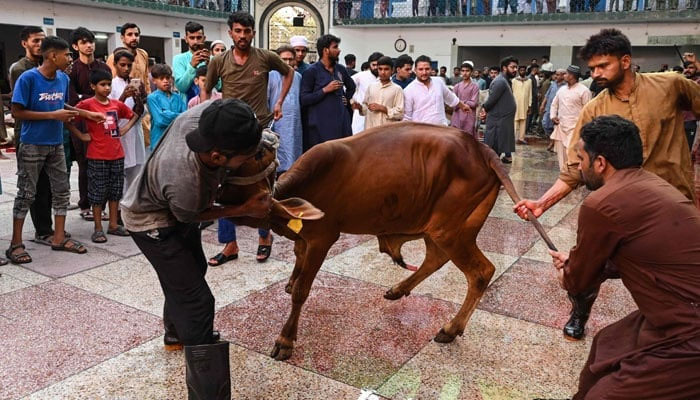 عیدالاضحی کا پہلا دن مذہبی جوش و جذبے سے منایا گیا