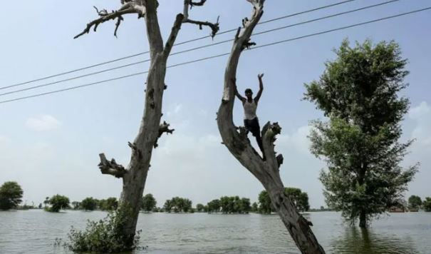 ملتان، رحیم یار خان، راجن پور اور وہاڑی کے سیکڑوں دیہات پانی میں ڈوب گئے