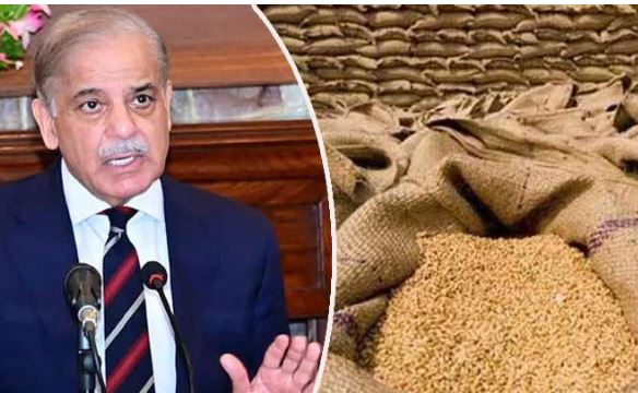 گندم پالیسی 26-2025 منظور، حکومت کا کسانوں کو مناسب قیمت دینے کا فیصلہ