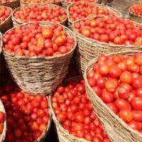 ٹماٹر کی قیمتوں میں ہوشربا اضافہ، فی کلو 500 روپے تک بکنے لگے