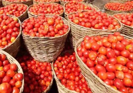 ٹماٹر کی قیمتوں میں ہوشربا اضافہ، فی کلو 500 روپے تک بکنے لگے