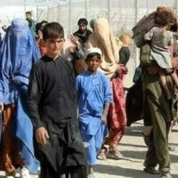 خیبرپختونخوا کا اہم اقدام! غیر قانونی افغان باشندوں کی رجسٹریشن کیلئے صوبے بھر میں سروس پوائنٹس قائم