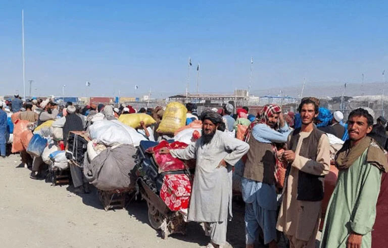 غیر قانونی افغانوں کے انخلا کا عمل جاری! اب تک کتنے ڈی پورٹ ہو چکے؟ آئی جی پنجاب نے تعداد بتا دی