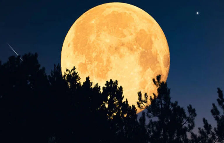سال 2026 کا پہلا سپر مون کب اور کیسے نظر آئے گا؟جانئے