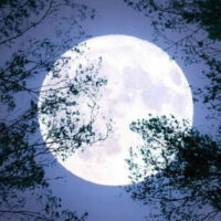 رواں سال کا آخری سپر مون کل ہوگا، پاکستان میں واضح طور پر نظارہ ممکن