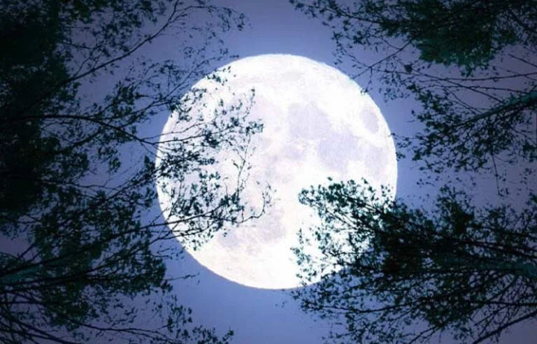 رواں سال کا آخری سپر مون کل ہوگا، پاکستان میں واضح طور پر نظارہ ممکن