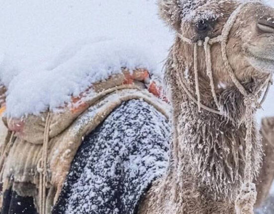 سعودیہ میں سردی کا 17 سالہ ریکارڈ ٹوٹ گیا