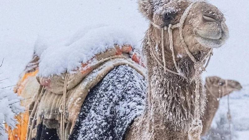 سعودیہ میں سردی کا 17 سالہ ریکارڈ ٹوٹ گیا