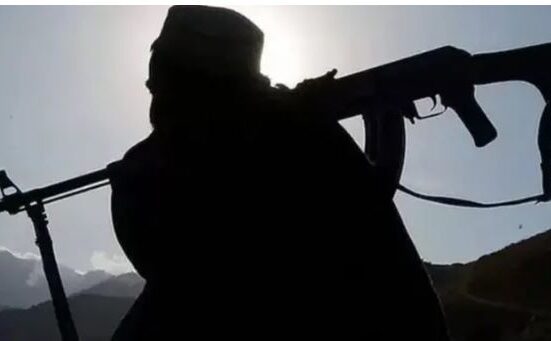 افغان طالبان کالعدم ٹی ٹی پی کو لاجسٹک اور آپریشنل مدد دیتے رہے ہیں: اقوام متحدہ