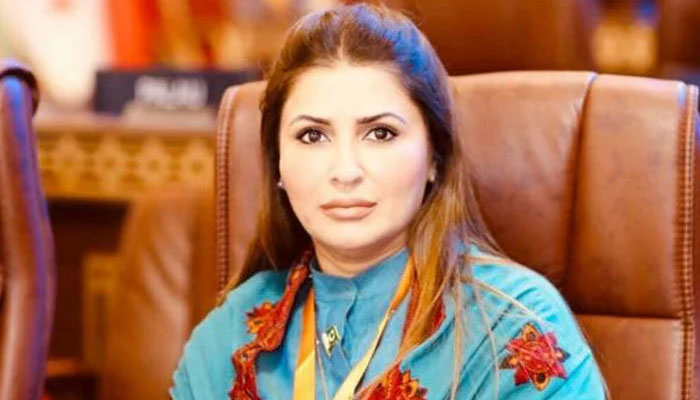 شازیہ مری کا پی ٹی آئی کو ذمہ داری کا مظاہرہ کرنے کا مشورہ