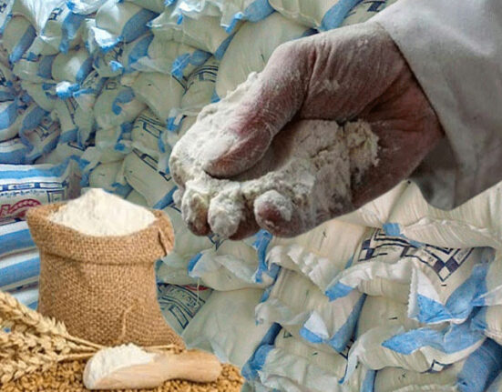آٹا پھر مہنگا،20 کلو کا تھیلا اب کتنے کا ملے گا؟
