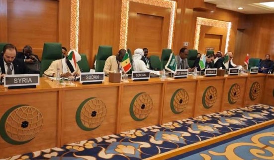 او آئی سی نے صومالی لینڈ کو تسلیم کرنے کا نام نہاد اسرائیلی اقدام مسترد کر دیا