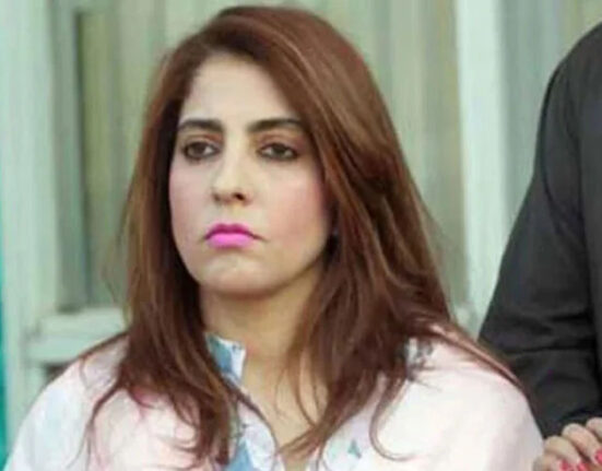 وزیراعلیٰ کے پی کو سندھ میں خوش آمدید کہا لیکن وہ پھر بھی خوش نہیں! پلوشہ خان نے اہم حقائق بے نقاب کر دیے