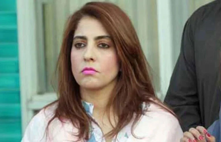 وزیراعلیٰ کے پی کو سندھ میں خوش آمدید کہا لیکن وہ پھر بھی خوش نہیں! پلوشہ خان نے اہم حقائق بے نقاب کر دیے