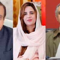 عمر ایوب ، شبلی فراز ، زرتاج گل اور عالیہ حمزہ کی ضمانت کی درخواستیں خارج