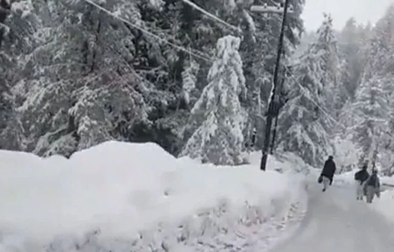 ملک بھر میں سردی کا راج!دھند، یا بارش؟ محکمہ موسمیات نے راز کھول دیا