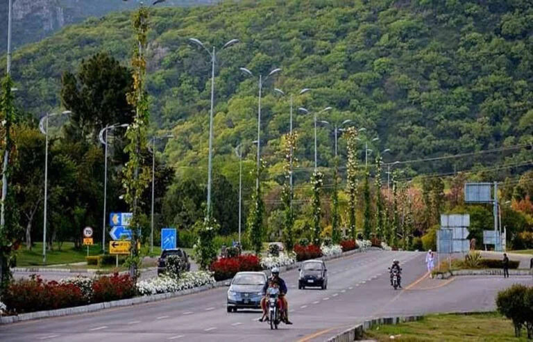 پولن الرجی کے خلاف حکومت کی تاریخی کارروائی: اسلام آباد میں 29,115 درخت کاٹ دیے گئے