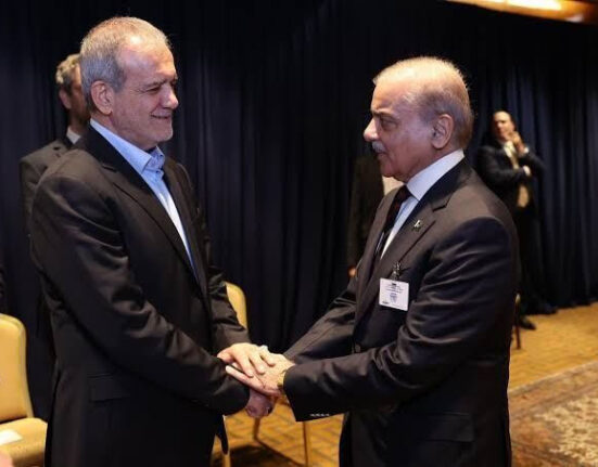 ایران اور پاکستان کے تعلقات ایران کی دماوند اور پاکستان کی کے ٹو چوٹیوں جیسے بلند ہیں: ایرانی سفیر