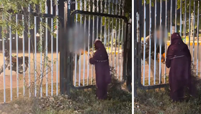 پارلیمنٹ ہاؤس میں دھرنا یا بڑی سیاسی چال؟ تہلکہ خیز حقائق سامنے 