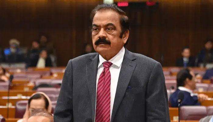 افواج پاکستان نے افغان جارحیت کا منہ توڑ اور مؤثر جواب دیا،رانا ثناءاللہ