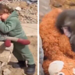 بندر کے آنسو پر دنیا رو دی۔۔۔ مگر غ ز ہ کی بچی پر خاموشی کیوں؟دلخراش ویڈیو نے دنیا کو آئینہ دکھا دیا